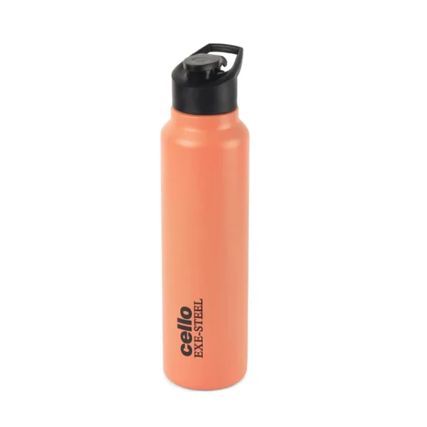 Solido Exe Single Walled Stainless Steel Bottle - Image 4